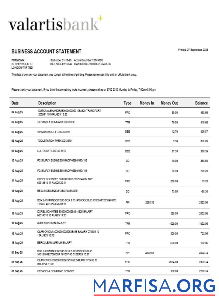 Blank Valartis organization checking account statement Word and PDF template (1)